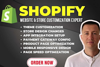 fix shopify theme bugs