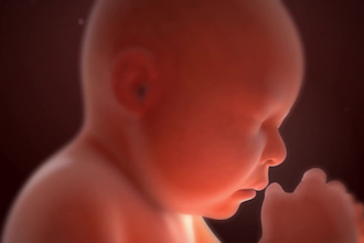 create professional 3d medical animation