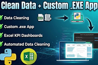 do python data cleaning, excel dashboards, and custom desktop apps