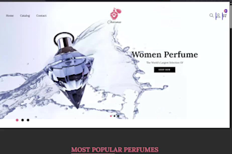 build shopify store design