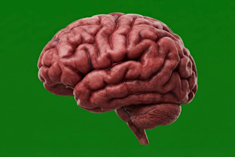 ai medical animation, ai surgical animation video, healthcare explainer