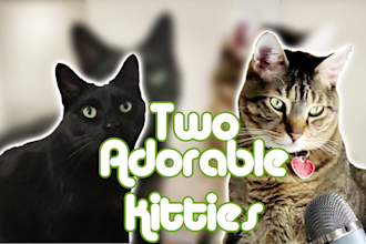 create cat ugc video ads for tiktok instagram and brands