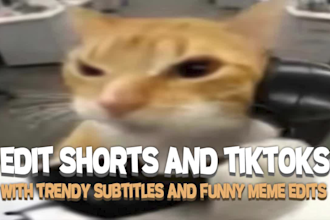 edit shorts and tiktoks with trendy subtitles and funny meme edits