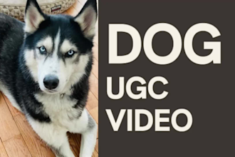 create engaging husky dog ugc video ads for your brand