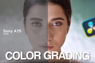 do professional video color grading and color correction