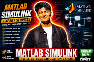 do your matlab simulink and matlab programming