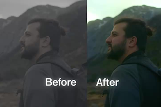 do professional davinci resolve color grading