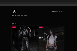 customize your shopify store with a professional design