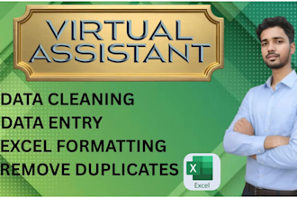 do excel data entry data cleaning and remove duplicate