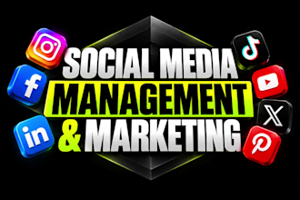 be your social media marketing manager, creative content creator