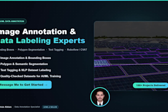 image annotation, data labeling, text tagging, and bounding box for ai ml models