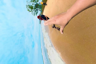 360 video l reframe l VR edit