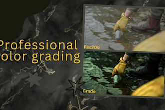do video color correction and color grading professionally in 24h