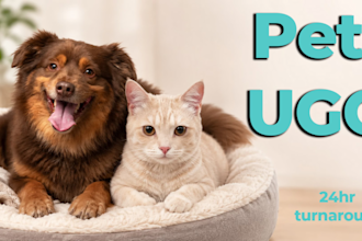 create pet ugc ads