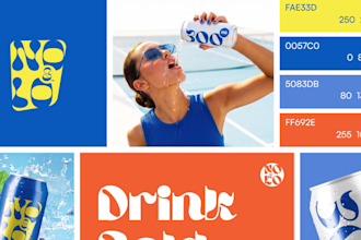 design brand style guide, brand book and complete brand identity kit
