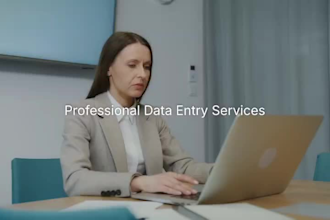 do professional excel data entry and CSV cleanup