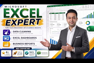 clean, organize and analyze microsoft excel data, dashboard