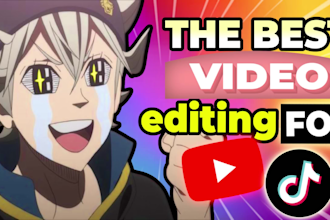 cheap fun and fast professional video editing for you