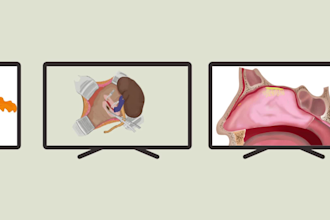 create medical and scientific illustrations