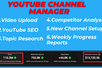 be your expert youtube channel manager