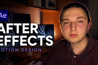 do professional 2d motion design and animated logo