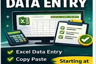 do data entry copy paste work web research and excel data entry