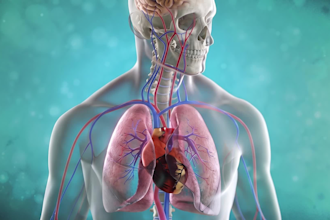 create professional 3d medical animation