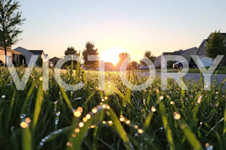 do ai promotional videos with kling seedance veo3