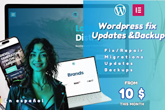 do quick support fixes, update and backup wordpress website