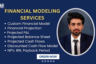 prepare an investor ready financial model or business plan