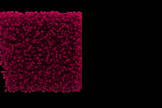 do 3d fire, smoke particle and fluid simulation and dynamics
