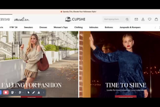 do shopify clothing store shopify jewelry store shopify website design redesign