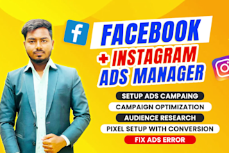 set up professionally facebook and instagram ads for leads and sales