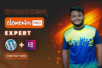 build or clone wordpress elementor website and be your elementor expert