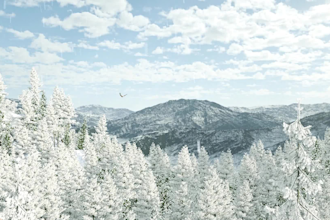 create a beautiful nature based video