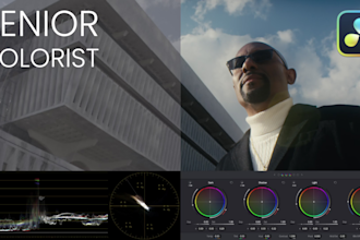 color grade your music videos, commercials, and films to perfection