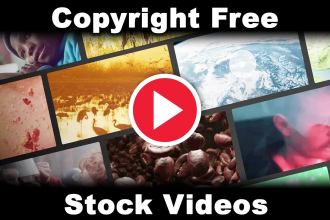 turn your script or article into video using stock footages