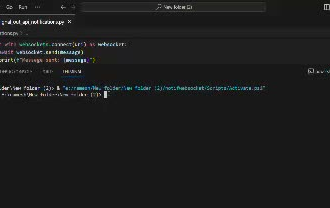 do socket programming and network programming tasks in c cpp java python php js