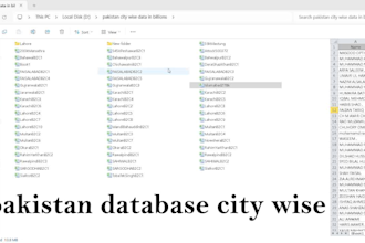 provide you pakistani database city wise