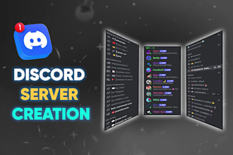 custom discord server setup for you