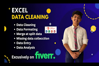 clean and organise your excel data