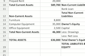 do bank reconciliation and budgeting