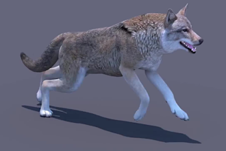 do realistic 3d animal model, 3d animal rigging, 3d animal animation