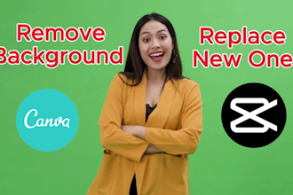 remove video background, objects, noise and replace