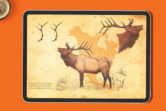 make medical illustrations or human, animal anatomy illustration
