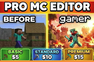 do minecraft video and gaming video editing professionally