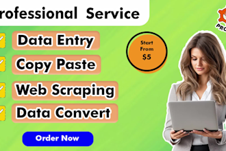 do ms excel data entry, copy paste, convert and web scraping