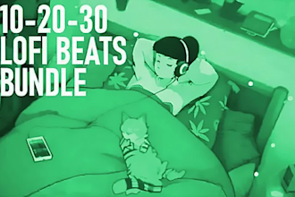 make 10 to 30 exclusive lofi beats, chill hip hop music