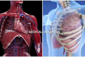 3d video animation 3d medical animation on anatomy, surgery 3d medical animation
