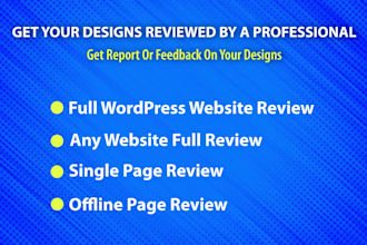 audit your website and provide expert feedback